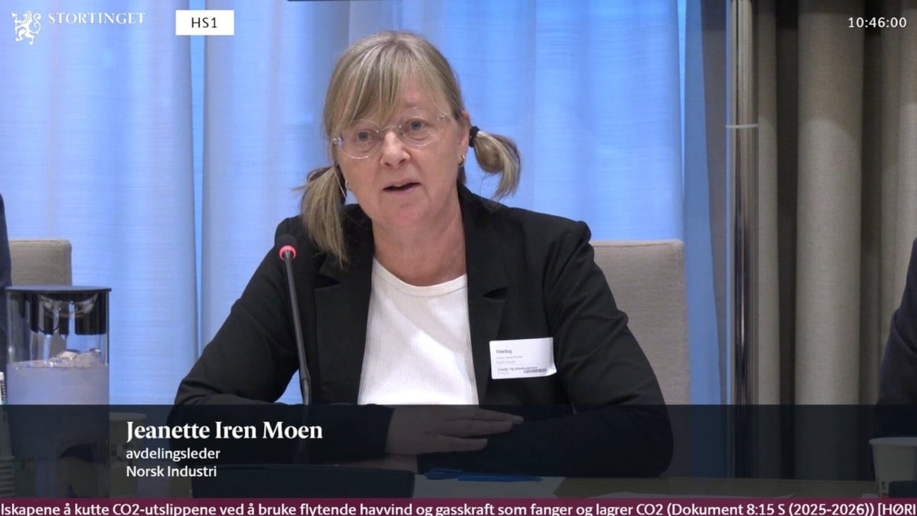 Person på høring i Stortinget