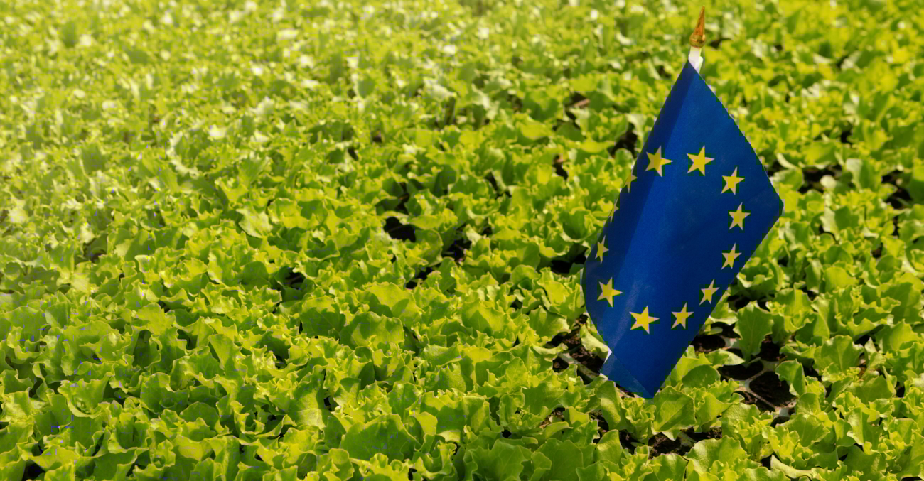 Bilde av EU-flagget mot grønn bakgrunn