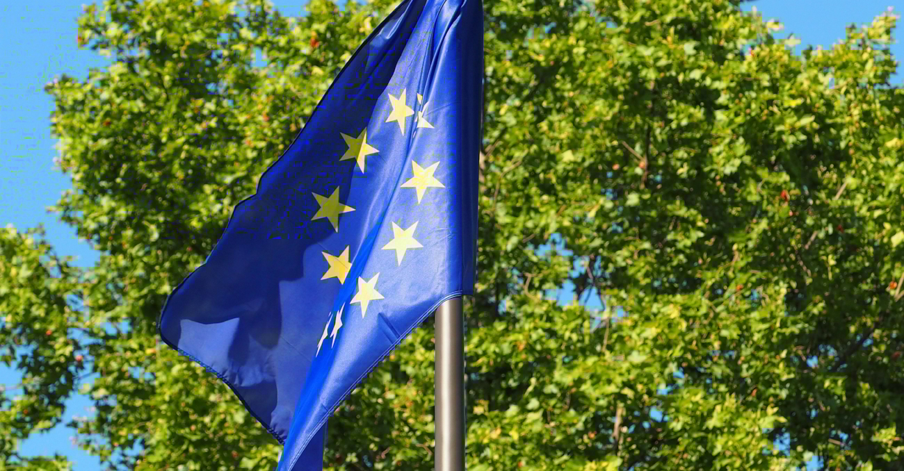 EU-flagg foran grønt tre