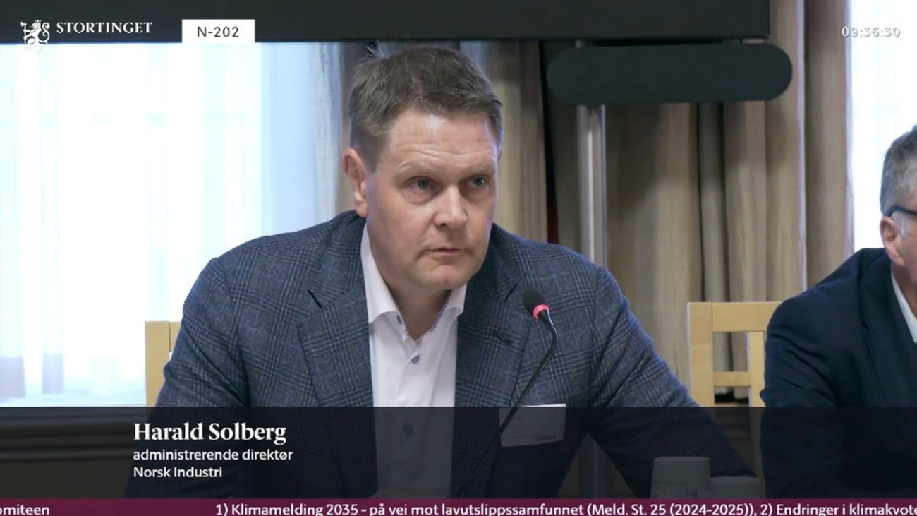 Harald Solberg holder innlegg på høring på Stortinget