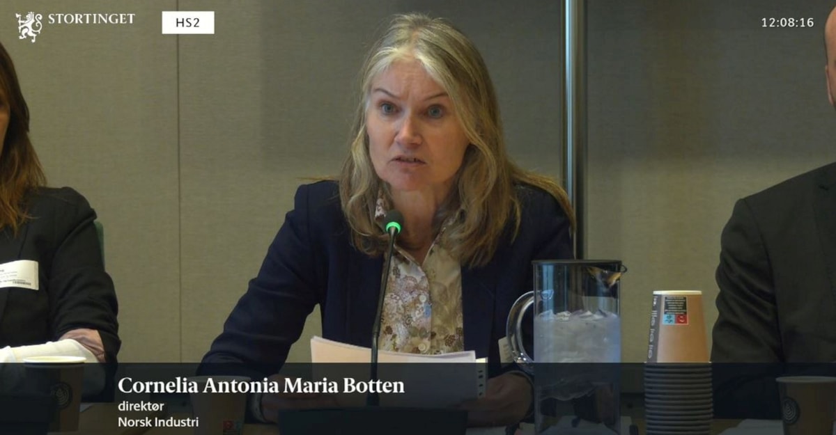 Carla Botten-Verboven på høring om innleie i Stortingets arbeids- og sosialkomite 26. oktober 2022.